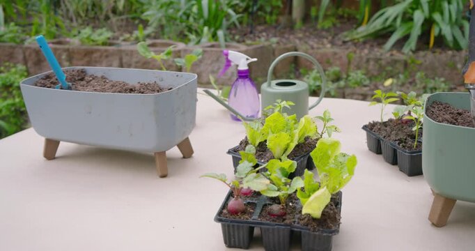 Camera is moving forward and right on table, focusing seedling tray and watering can for potting