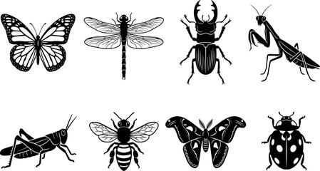 Insect silhouette collection featuring butterfly, dragonfly, beetle, mantis, grasshopper, bee, moth, and ladybug designs © MdALAMIN
