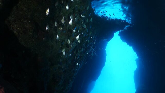 cave diving underwater exploring caves with fish ocean scenery sun beams and rays background scuba divers to explore