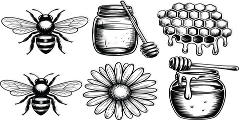 Bees Honeycomb Flower and Honey Jars Black and White Illustration Keywords: Bee, honeybee, insect, honeycomb, hexagon, cell © Alifa