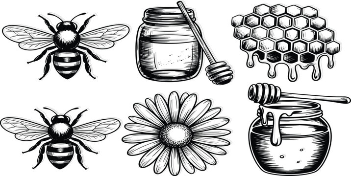 Bees Honeycomb Flower and Honey Jars Black and White Illustration Keywords: Bee, honeybee, insect, honeycomb, hexagon, cell
