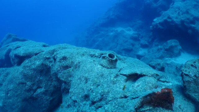 amphora pieces underwater ancient antic amphoras scuba divers to explore and discover deep water