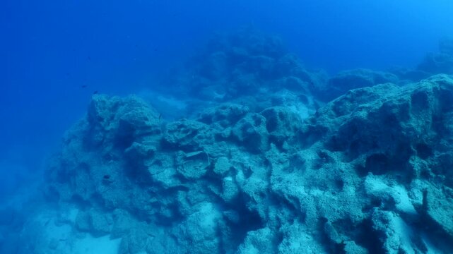 amphora pieces underwater ancient antic amphoras scuba divers to explore and discover deep water