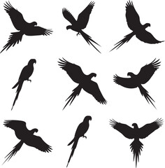 Fototapeta premium Parrot Silhouette Vector Collection: High-Quality Bird Graphics for Design Projects