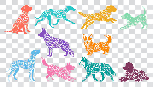 Colorful dog silhouettes filled with vibrant bubble circle pattern in various active and resting poses isolated on transparent background