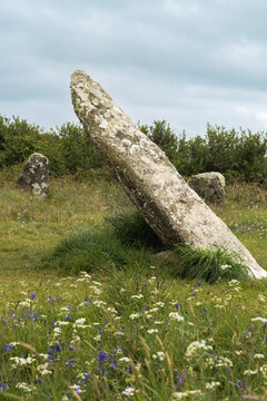 View of the leaning central standing stone of the Boscawen-un Stone Circle surrounded by wildflowers and green grass under an overcast sky Penzance, England, United Kingdom.