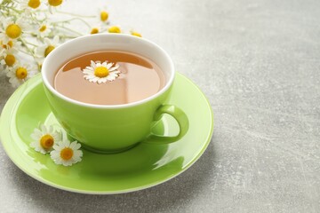 Obraz premium Cup of aromatic chamomile tea and flowers on light grey table, closeup. Space for text