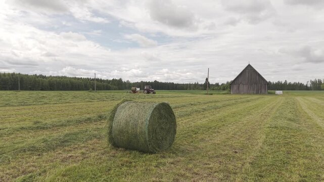 Blue tractor with orange baler works across a cut hay field, gathering grass for forage with a dense pine forest in the background. Plani, Latvia - June, 12, 2026.