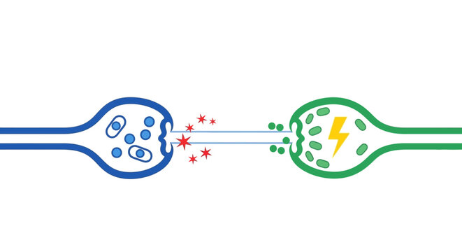 Synapse transmission of nerve impulse, neuron communication, neuroscience concept illustration