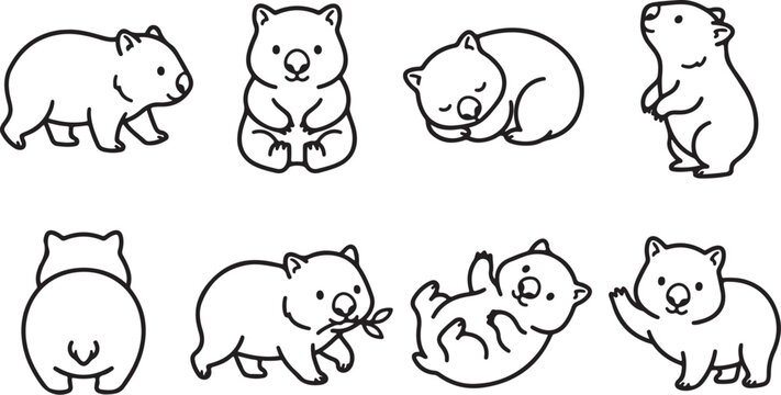 Cute wombat cartoon illustrations in different poses