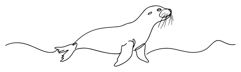seal line art arctic animal vector illustration © Wieslaw