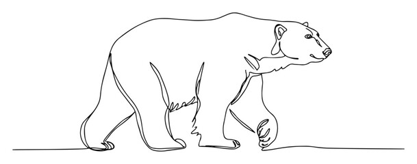 polar bear line drawing arctic animal vector © Wieslaw