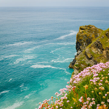 View of Hell's Mouth cliffs with pink wildflowers in the foreground overlooking the turquoise Atlantic Ocean in Camborne, Cornwall, United Kingdom.