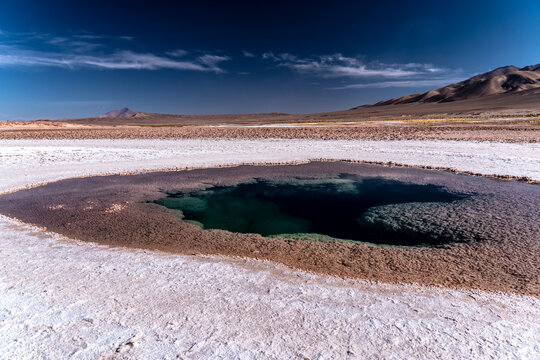 Stromatolites Pool at Ojos del Mar, Argentine Puna