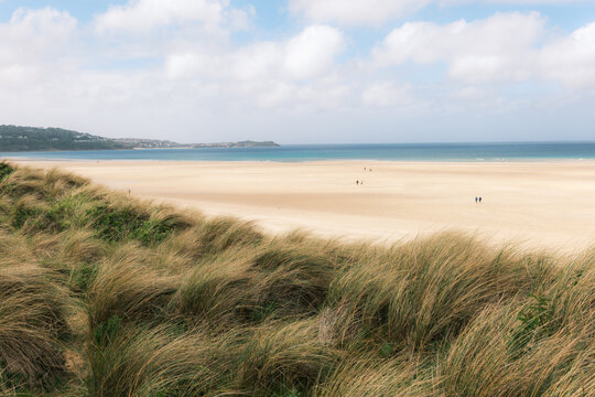 View of Hayle Beach with tall grass on sand dunes overlooking the wide sandy shore and blue sea under a cloudy sky Hayle, Cornwall, United Kingdom.