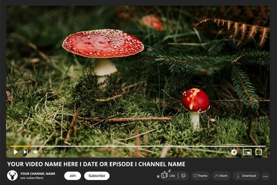 Social Media video frame of Red mushroom in the forest