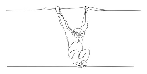 gibbon monkey hanging from branch black vector thin line on white background © Wieslaw
