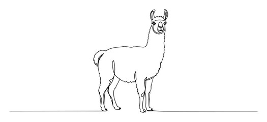 Fototapeta premium llama standing side profile black vector thin line on white background