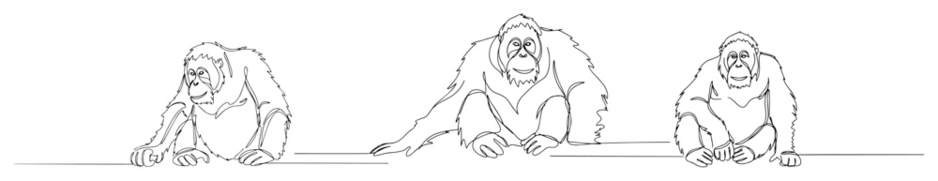 three gorillas sitting front view engraving monoline vector