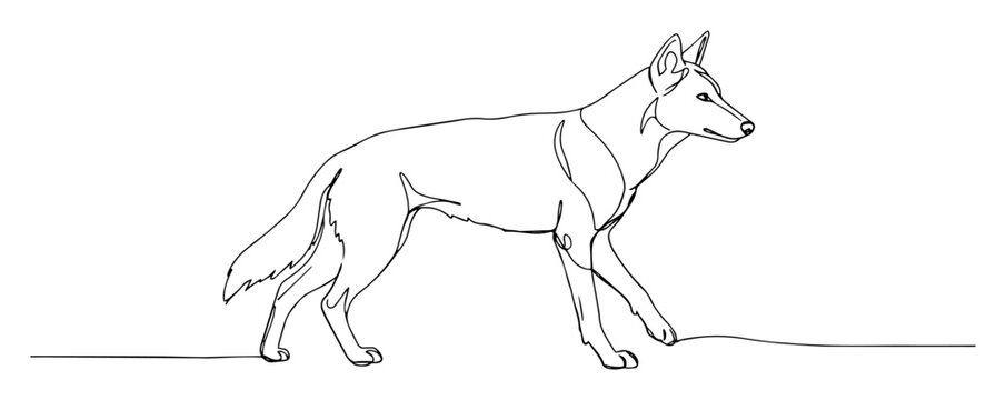 dingo australian wild dog side view monoline vector