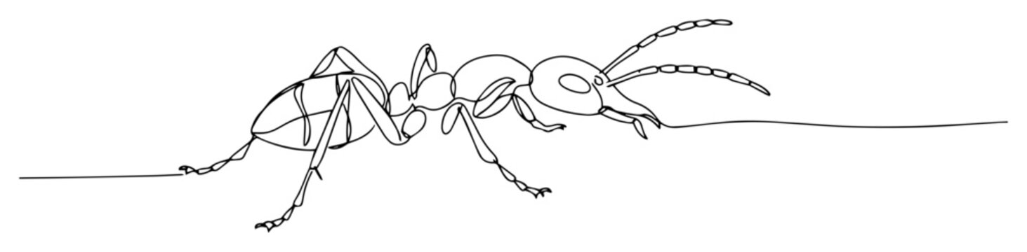 ant walking side view illustration monoline vector