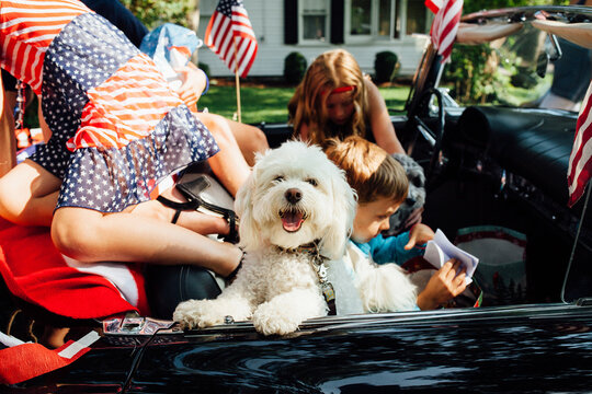Dog and kids in 4th of July Parade