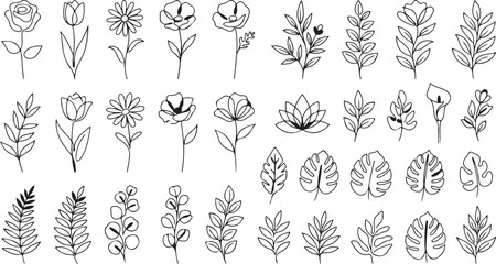 Fototapeta premium Hand drawn black line art floral icons and leaves vector set