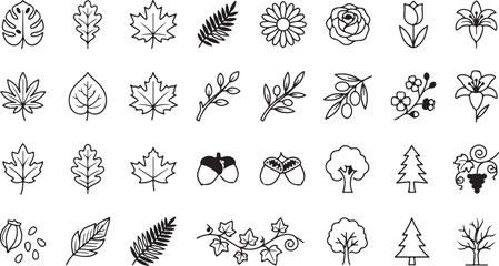 Black line art botanical icons set © Musharof