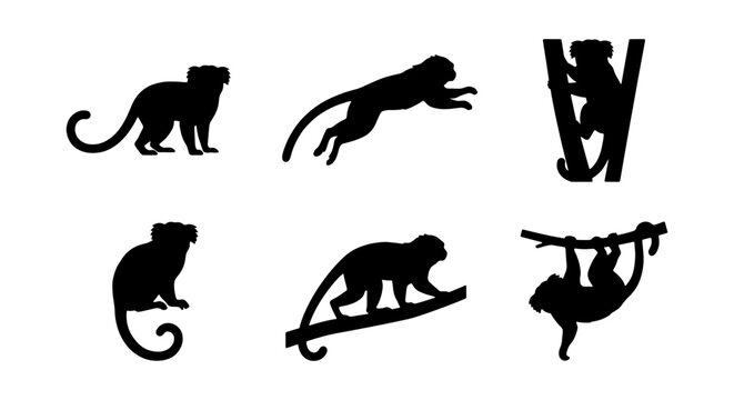 Silhouette Monkey Vector Icons Set, Primate Wildlife Graphics, Jungle Animals Collection, Cute Mammal Poses