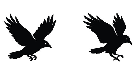 Fototapeta premium Two black bird silhouettes with outstretched wings against a white background showcasing avian forms birds silhouette feather feathers flying