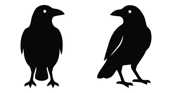 Black raven silhouettes depicted in two distinct poses against a white background avian bird corvid crow feather feathers form