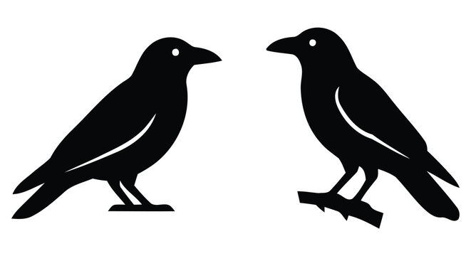 Two black raven silhouettes facing each other a graphic representation with a transparent background avian bird birds corvid corvids