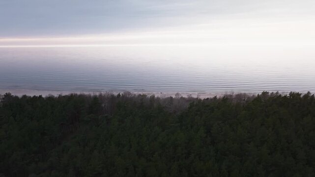 Aerial view shows pine forest meeting sandy shore in northern Europe. Slow drift, gentle waves, one person walks near surf by a small beach shelter in soft diffuse light.