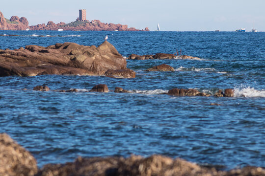 &icirc;le d'Or pr&egrave;s de Saint Rapha&euml;l au Dramont