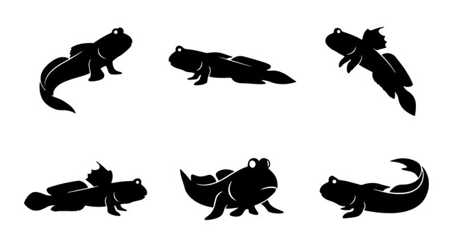 Mudskipper Set, Six Silhouette Vector Illustrations of Amphibious Fish, Aquatic Wildlife Collection, Marine Biology Iconography