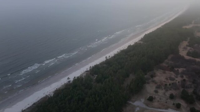 Aerial footage captures pale sand meeting dark water, a pine belt to scrubland, and parallel breakers. Low fog softens detail, suggesting Baltic Sea coast.