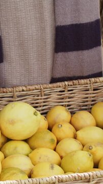 Vertical video: Entering hand left picking lemon hands sorting lemons in basket for sale, sweater