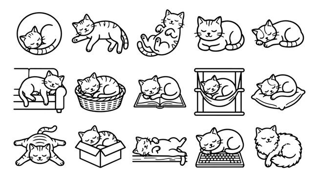 Cute cats sleeping in various comfortable places