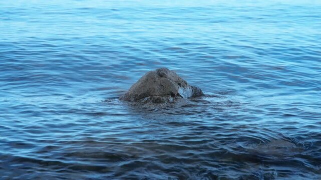 Blue ocean water splashes on a rock near the shoreline