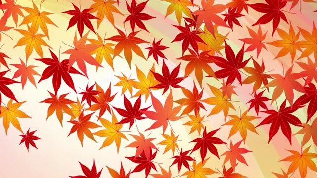 Vibrant Autumn Maple Leaves Falling 4K