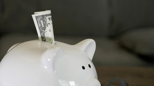 Piggy bank saving single dollar for future investment