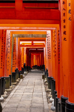View of the iconic Senbon Torii with its vibrant orange gates lining a stone path at Fushimi Inari-taisha shrine Kyoto, Kyoto, Japan.