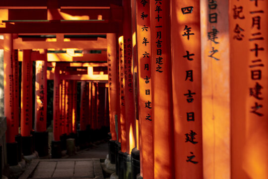 View of the vibrant orange Senbon Torii gates with traditional black calligraphy illuminated by sunlight at Fushimi Inari-taisha in Kyoto, Kyoto, Japan.