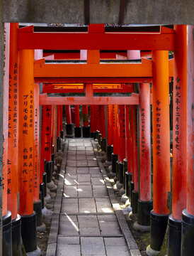 View of the iconic Senbon Torii gates with vibrant orange pillars and black bases lining a stone walkway at Fushimi Inari-taisha shrine Kyoto, Kyoto, Japan.