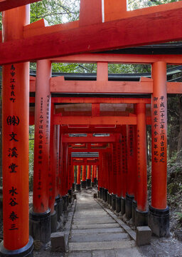 View of the Senbon Torii gates with vibrant vermilion pillars featuring black bases and inscriptions lining a stone path under a canopy of green trees Kyoto, Kyoto, Japan.