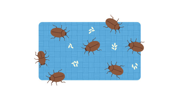 Brown bed bugs crawling on a blue woven fabric surface accompanied by small white eggs an infestation problem.