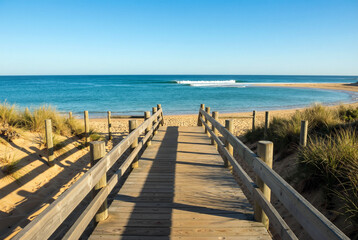 Fototapeta premium A peaceful landscape featuring a rustic wooden boardwalk path through dunes toward a vibrant turquoise sea with soft waves and gold sand under bright sunlight. Generative AI.
