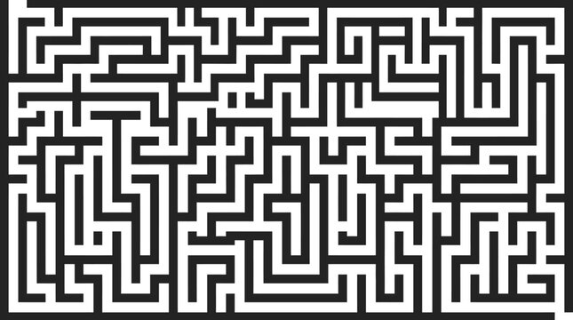 A complex black and white rectangular maze illustration featuring intricate paths and geometric patterns designed for challenging intellectual puzzle solving