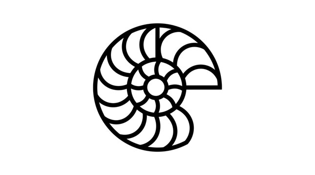 Minimalist black and white line art illustration of a nautilus shell featuring a smooth spiral shape and bold strokes