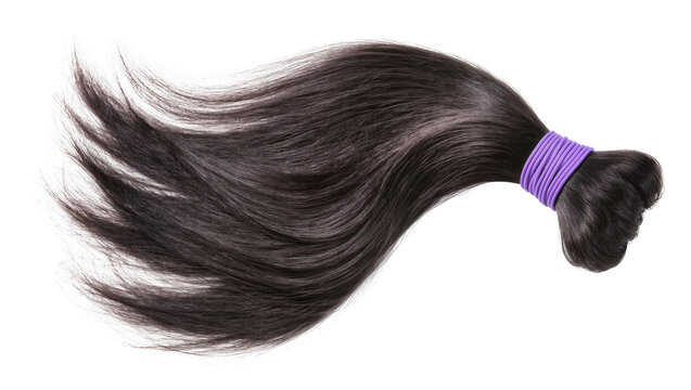 Isolated long wavy dark brown hair extensions ponytail tied with a purple elastic band.